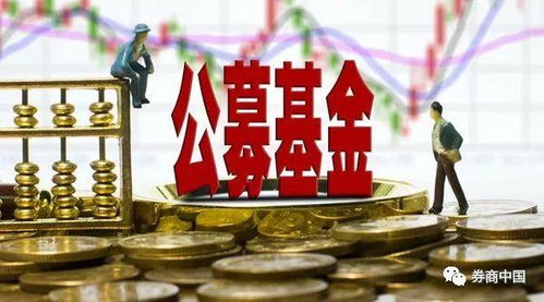 个人系公募基金冰火两重天 发起人参控多家机构，新公司审批遇阻